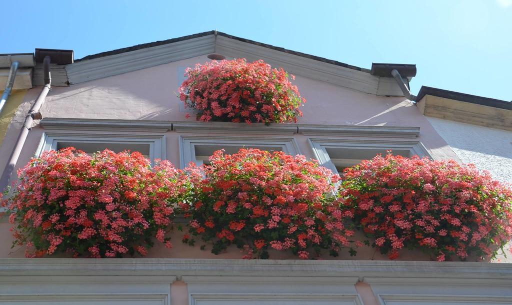 Mosel Roeschen Villa Bernkastel-Kues Exteriör bild